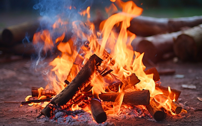 キャンプ場 freepe