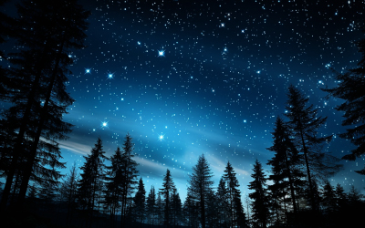 キャンプ場 freepe